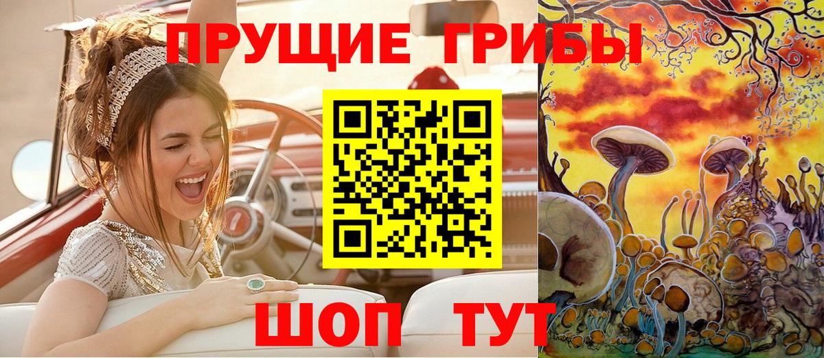 Псилоцибиновые грибы прущие грибы Унеча